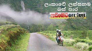 ගාඩ්මෝර් වලට බස් එකෙන් ගියා  Gartmore by Bus #gartmore #maskeliya