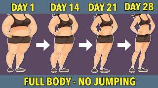 BE FITTER IN 4 WEEKS – EASY FULL BODY WORKOUT NO JUMPING