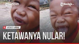 VIDEO KOCAK BOCAH KECIL TERTAWA TERBAHAH-BAHAK