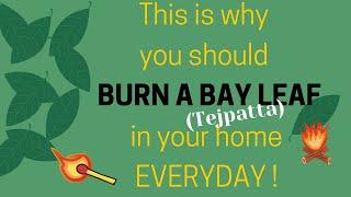 This Is Why You Should Burn a Bay Leaf In Your Home Everyday FACTS