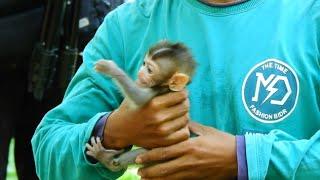 Welcome Back Of Baby Rainbow With Mom Monkey Libby After Treatment At NGO Today 8302022