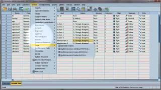 Reliability test Compute Cronbachs alpha using SPSS