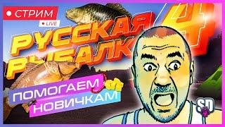 Русская Рыбалка 4 *Опять КВЕСТИКИ?*