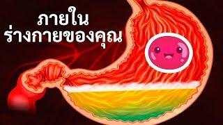 การเดินทางภายในร่างกายของคุณ