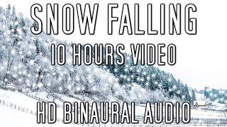 Relaxing Snow Falling Sounds from the Countryside - 10 Hours Video For Relaxation and Sleep