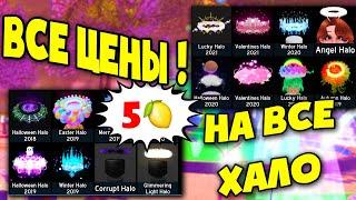 NEW ВСЕ цены на ВСЕ 19 ХАЛО в роял хай all prices for 19 halos in royal high