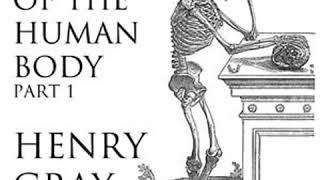 Anatomy of the Human Body Part 1 Grays Anatomy by Henry GRAY Part 22  Full Audio Book