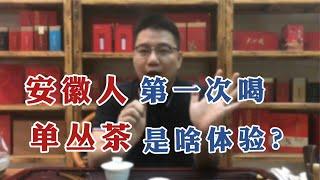 【漫仔说茶】安徽盛产名茶，十大名茶占了4种，那安徽人喝“单丛茶”是啥体验