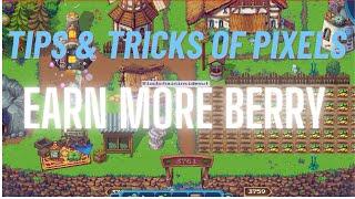 Pixels Tips and tricks   How you can earn more berry  Follow the basic strategies