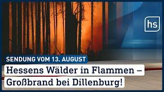 Hessens Wälder in Flammen – Großbrand bei Dillenburg  hessenschau vom 13.08.2022