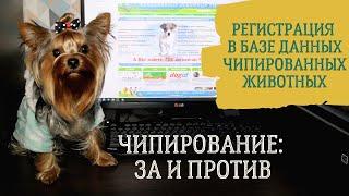 Чип для собаки за и против. Регистрация йоркширского терьера в базе данных чипированных животных