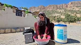 Successful Gardening with Uncle Hamid Tips for Better Fertilization and Better Results