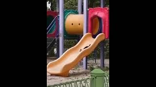 Cat playing on the slide all by himself