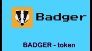 Badger DAO BADGER Token piyasa bilgileri ve fiyatı