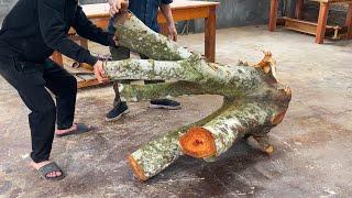 Creative Guy Turns Worthless Tree Stump to Thousand Dollar Coffee Table  Masterpiece of Natural