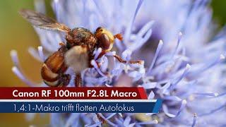 Canon RF 100 mm f2.8L Macro IS USM  141-Makro mit treffsicherem Autofokus im Test Deutsch