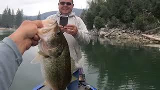 Pre Fishing Bass Lake For A Tournament Great Glide Bait Bite