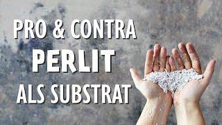 Sind Perlite wirklich immer das perfekte Substrat? Pro und Contra aller Eigenschaften