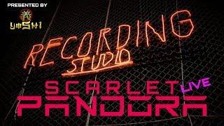 Scarlet Pandora - Podcast Live Q&A