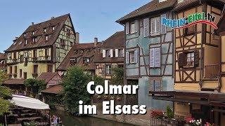 Colmar  Alsace  France  Sightseeing