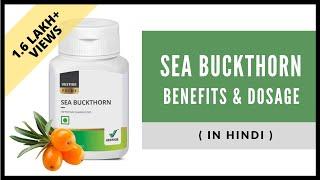 Vestige Sea Buckthorn in Hindi