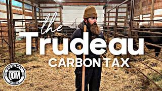 Thoughts From the Calving Barn  The Trudeau Carbon Tax