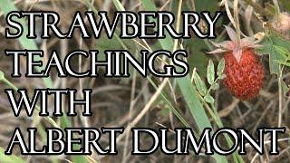 Strawberry Teachings with Albert Dumont