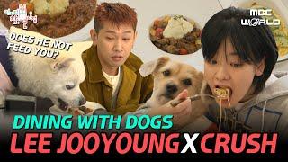 C.C. LEE JOOYOUNG & CRUSH enjoying a brunch date with their dogs #LEEJOOYOUNG #CRUSH