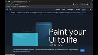 Dart New Update 2.18.6