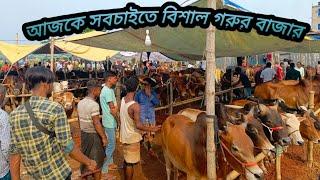 আজকের বিশাল গরুর হাট Sylhet jogannathpur bazar.#gramexplorer