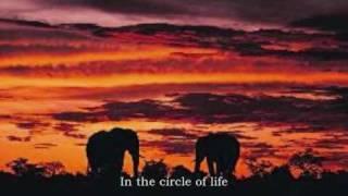 Joseph McManners - Circle Of Life