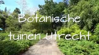 Botanische tuinen Utrecht 4K