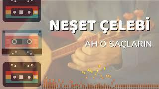 Neşet Çelebi - Ah O Saçların