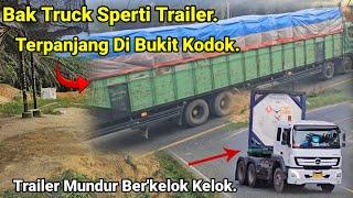 Truck Trailer Mundur BerKelok Kelok Trailer Habis Nafas.Bak Truk Terpanjang Di Bukit Kodok Menanjak