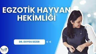 Veteriner Hekimliği Sektörleri  Egzotik Hayvan Hekimliği Dr. Duygu SEZER