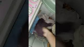 numpang kamar mandi tetangga yg lagi rame di mlm tujuh belasan  lumayan dpt kancut anak kuliahan