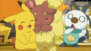 Oshawott is shocked  Buneary love pikachu  piplup is laughing on oshawott