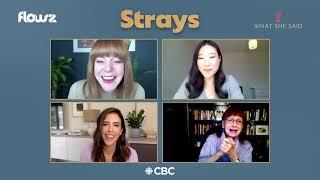 Strays the First Sitcom Set in The Hammer Hamilton Ontario