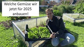 Welche Gemüse können JETZT schon für 2025 angebaut werden? Wir legen ein ÜBER-Winterungs-Beet an 