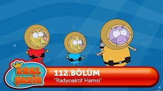 Kral Şakir 112. Bölüm - Radyoaktif Hamsi