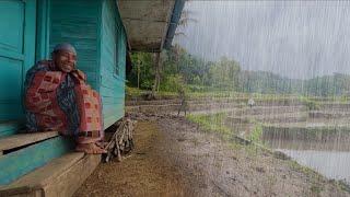 Suasana Syahdu Saat Hujan Mengguyur Kampung Cisangkal Cihurip. Suasana Pedesaan Jawa Barat Garut