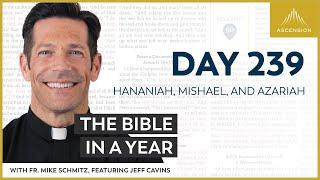 Day 239 Hananiah Mishael and Azariah — The Bible in a Year with Fr. Mike Schmitz