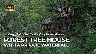 Forest Treehouse & Cottage with Private Waterfall    Bachelors & Couple Friendly   Vlog#83