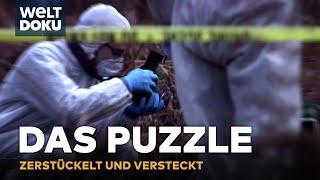 TRUE CRIME Das Puzzle - Zerstückelt und versteckt  Dem Täter auf der Spur S1E04  WELT HD DOKU