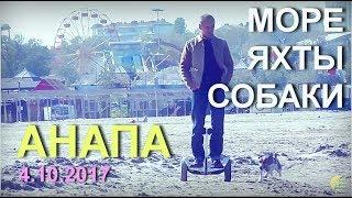 Анапа  МОРЕ яхты и собаки  4 Октября 17 г.