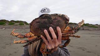 THEE most crabs caught at once....catch & cook vlog