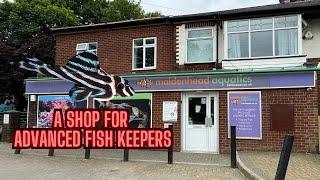 ADVANCED FISHKEEPERS DREAM - Maidenhead Aquatics Preston Shop Tour