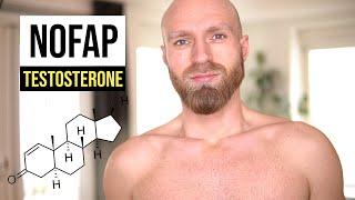 Does NoFap increase Testosterone? the Science