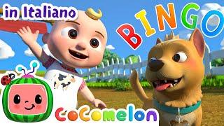 Qual è il nome del cane?  CoComelon Italiano - Canzoni per Bambini