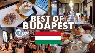 Best Cafes in Budapest 2021  New York Café Gerbeaud Cirkuz and a Bonus